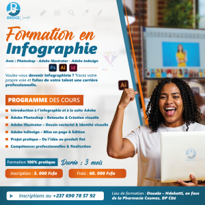 formation infographie bridge plan de travail 1