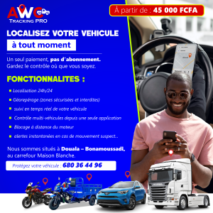 publication 2 plan de travail 1