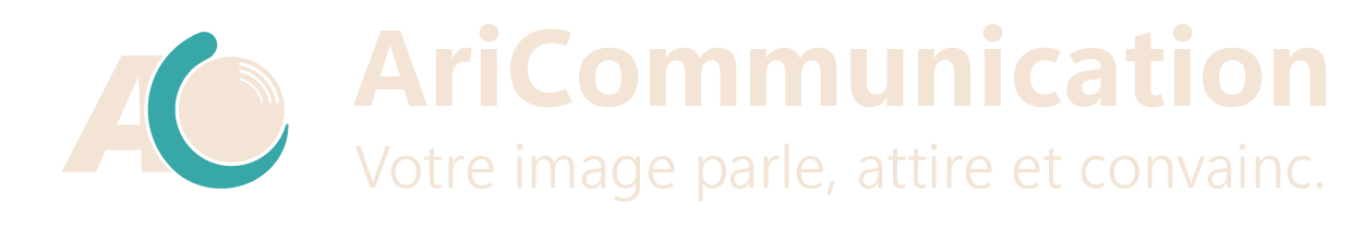 as plan de travail 1