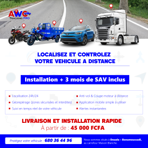 publication1 plan de travail 1